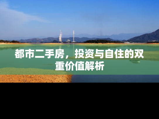 都市二手房，投资与自住的双重价值解析