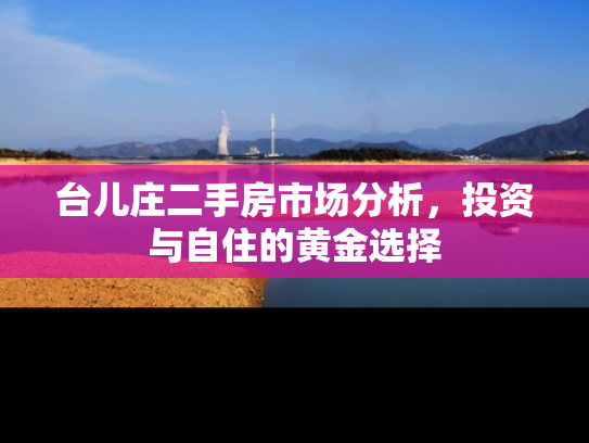 台儿庄二手房市场分析，投资与自住的黄金选择