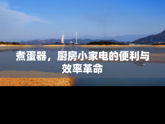 煮蛋器，厨房小家电的便利与效率革命
