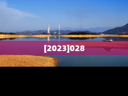 [2023]028