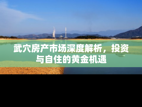 武穴房产市场深度解析，投资与自住的黄金机遇