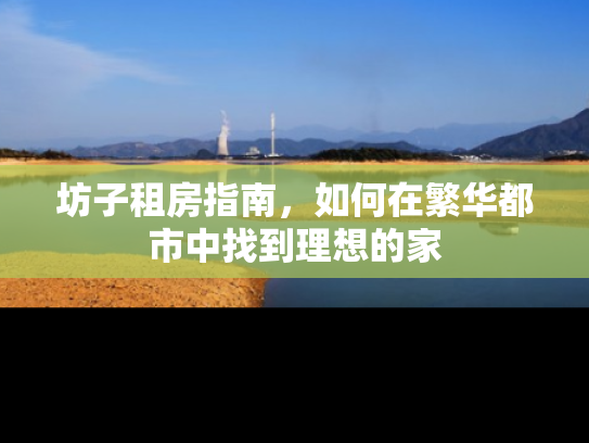 坊子租房指南，如何在繁华都市中找到理想的家