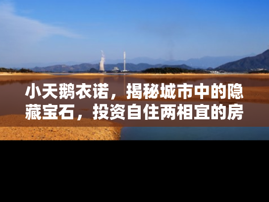 小天鹅衣诺，揭秘城市中的隐藏宝石，投资自住两相宜的房产新选择