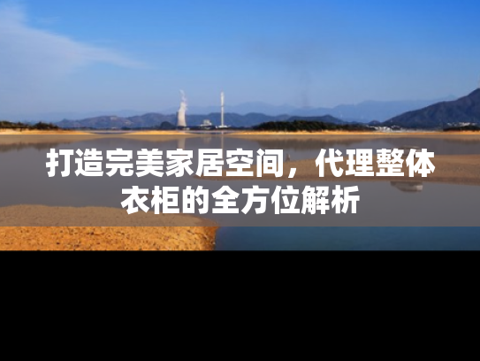 打造完美家居空间，代理整体衣柜的全方位解析