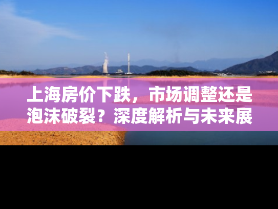 上海房价下跌，市场调整还是泡沫破裂？深度解析与未来展望