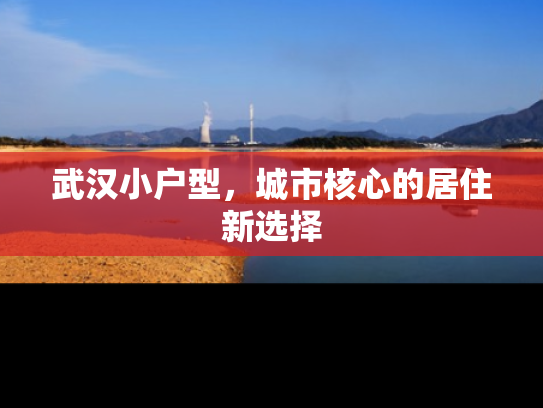武汉小户型，城市核心的居住新选择