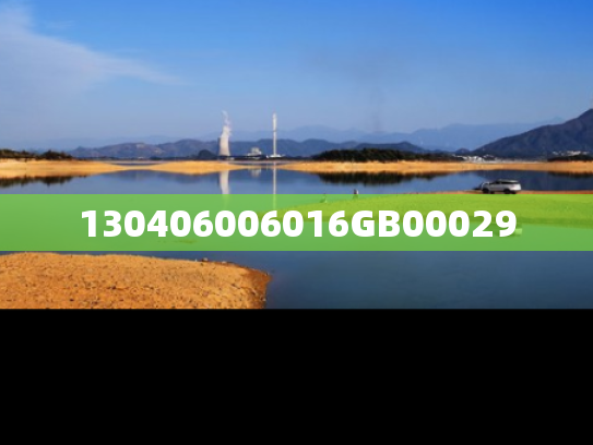 130406006016GB00029