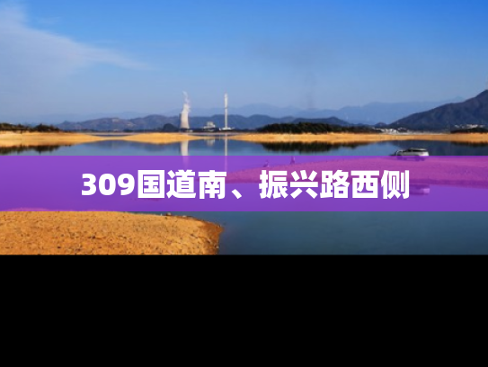 309国道南、振兴路西侧