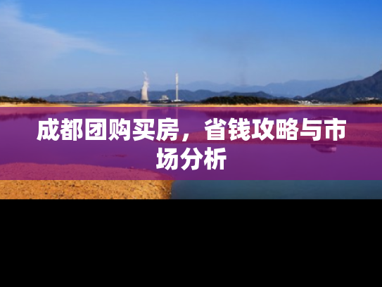 成都团购买房，省钱攻略与市场分析