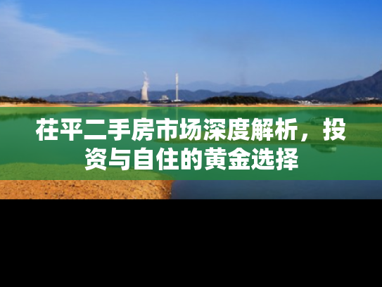 茌平二手房市场深度解析，投资与自住的黄金选择