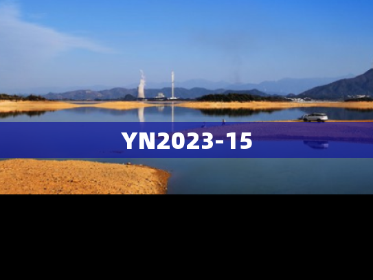 YN2023-15
