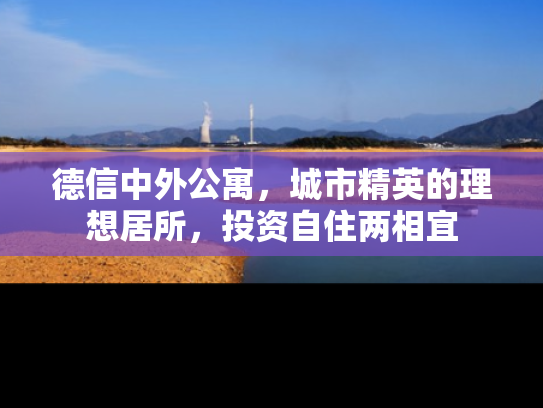 德信中外公寓，城市精英的理想居所，投资自住两相宜