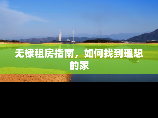 无棣租房指南，如何找到理想的家