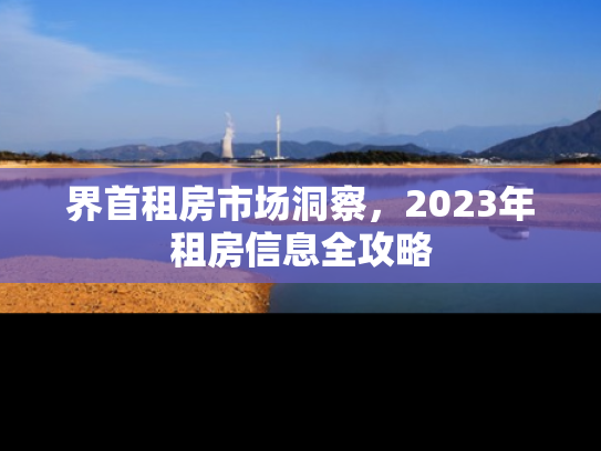界首租房市场洞察，2023年租房信息全攻略