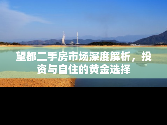 望都二手房市场深度解析，投资与自住的黄金选择