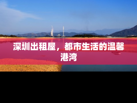 深圳出租屋，都市生活的温馨港湾