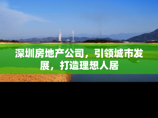 深圳房地产公司，引领城市发展，打造理想人居