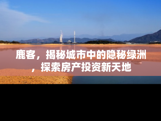 鹿客，揭秘城市中的隐秘绿洲，探索房产投资新天地
