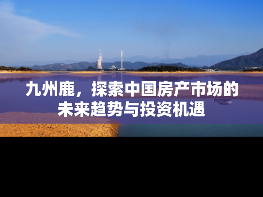 九州鹿，探索中国房产市场的未来趋势与投资机遇
