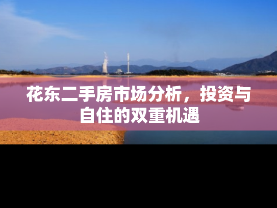 花东二手房市场分析，投资与自住的双重机遇