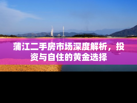 蒲江二手房市场深度解析，投资与自住的黄金选择