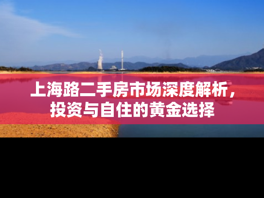 上海路二手房市场深度解析，投资与自住的黄金选择