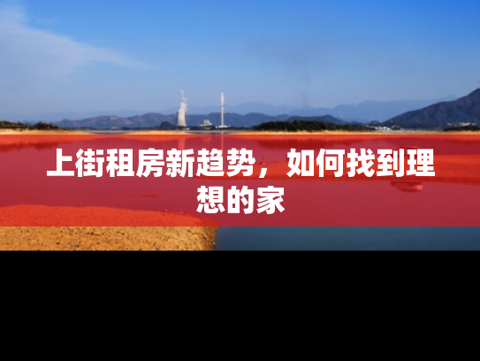 上街租房新趋势，如何找到理想的家