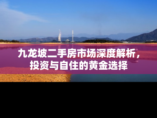 九龙坡二手房市场深度解析，投资与自住的黄金选择