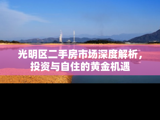 光明区二手房市场深度解析，投资与自住的黄金机遇