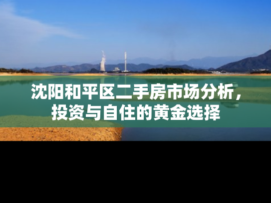 沈阳和平区二手房市场分析，投资与自住的黄金选择