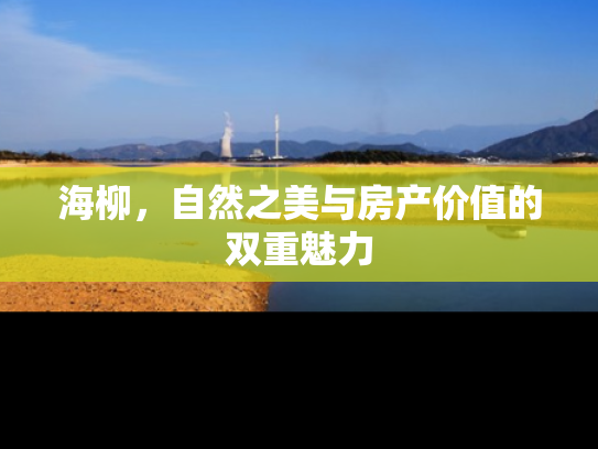 海柳，自然之美与房产价值的双重魅力