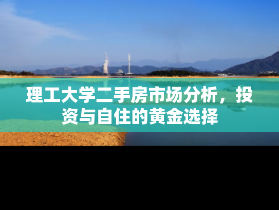 理工大学二手房市场分析，投资与自住的黄金选择