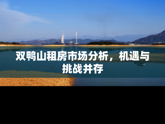 双鸭山租房市场分析，机遇与挑战并存