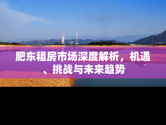 肥东租房市场深度解析，机遇、挑战与未来趋势