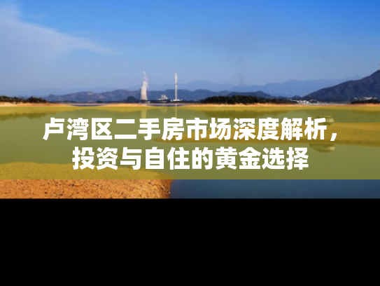 卢湾区二手房市场深度解析，投资与自住的黄金选择