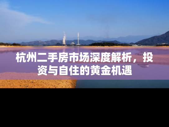 杭州二手房市场深度解析，投资与自住的黄金机遇