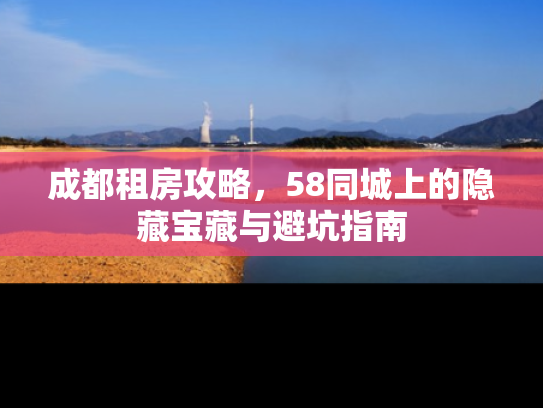 成都租房攻略，58同城上的隐藏宝藏与避坑指南