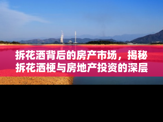 拆花洒背后的房产市场，揭秘拆花洒梗与房地产投资的深层联系
