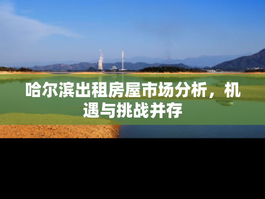 哈尔滨出租房屋市场分析，机遇与挑战并存