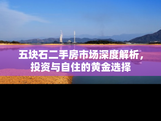 五块石二手房市场深度解析，投资与自住的黄金选择