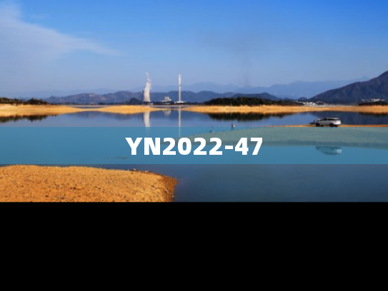 YN2022-47