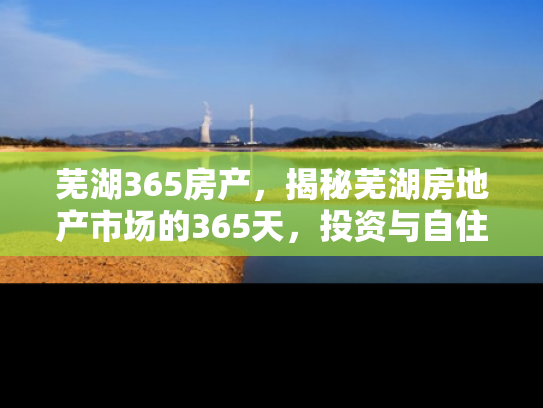 芜湖365房产，揭秘芜湖房地产市场的365天，投资与自住的全方位指南