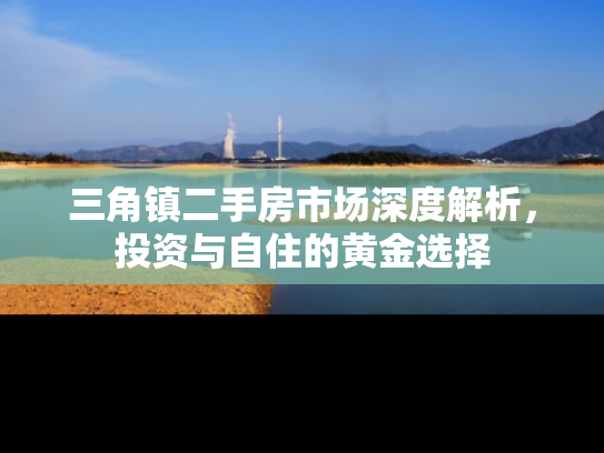 三角镇二手房市场深度解析，投资与自住的黄金选择