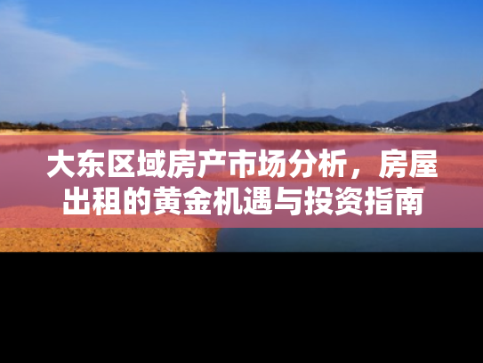 大东区域房产市场分析，房屋出租的黄金机遇与投资指南