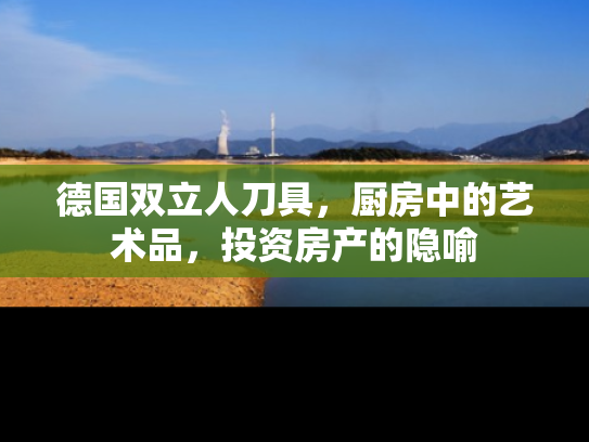德国双立人刀具，厨房中的艺术品，投资房产的隐喻