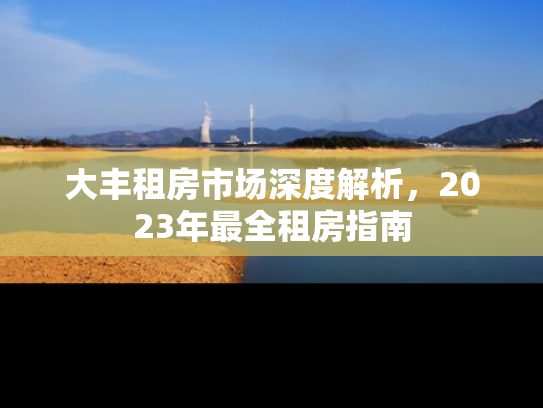 大丰租房市场深度解析，2023年最全租房指南