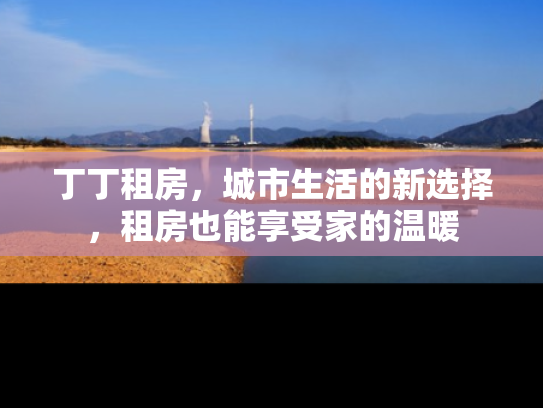丁丁租房，城市生活的新选择，租房也能享受家的温暖