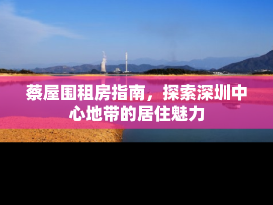 蔡屋围租房指南，探索深圳中心地带的居住魅力