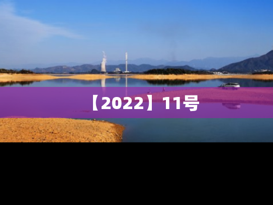 【2022】11号