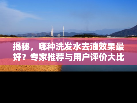 揭秘，哪种洗发水去油效果最好？专家推荐与用户评价大比拼